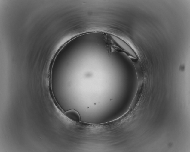 X0000096991143200802151347