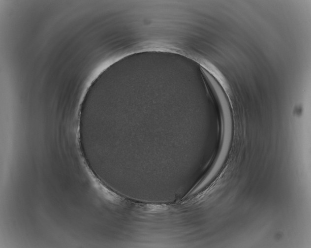 X0000096991144200802151347