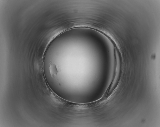 X0000096991145200802151347