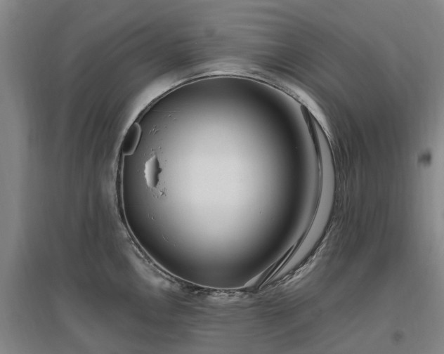 X0000096991146200802151347
