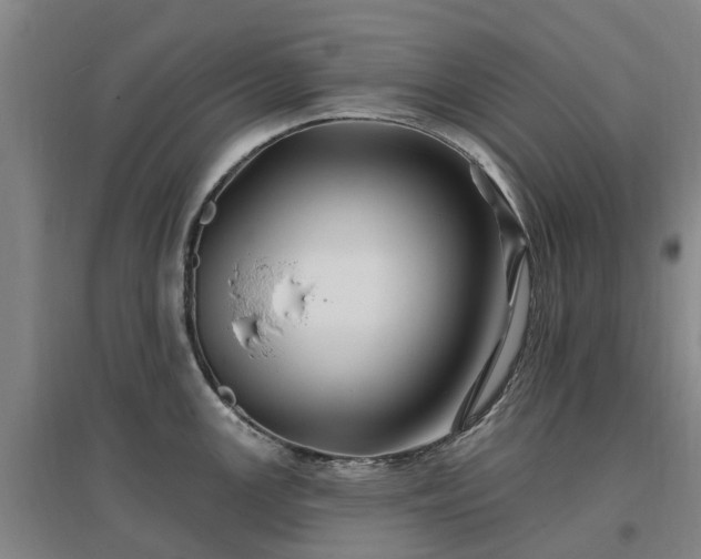 X0000096991147200802151347