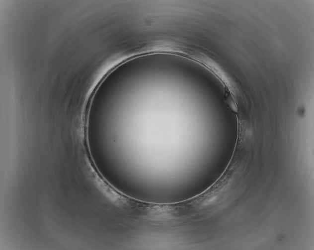 X0000096991148200802151347