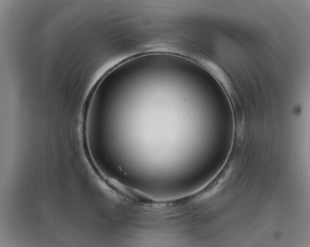 X0000096991149200802151347