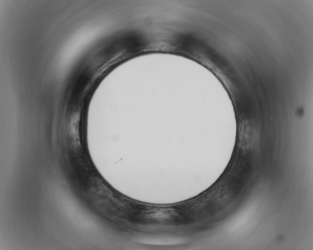 X0000096991150200802151347