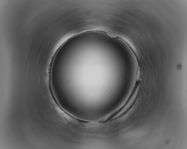 X0000096991151200802151347