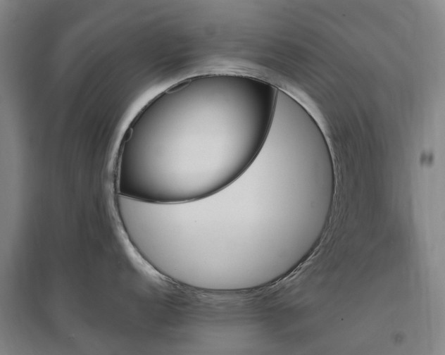 X0000096991152200802151347