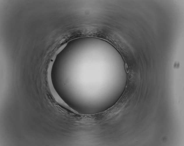X0000096991153200802151346