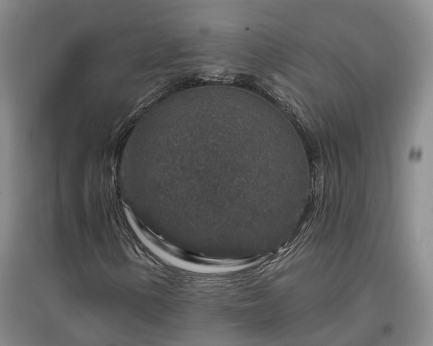 X0000096991154200802151346