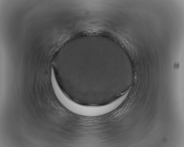 X0000096991156200802151346