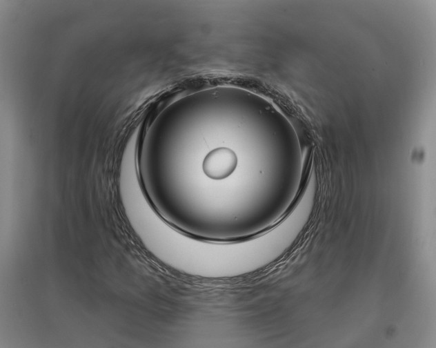 X0000096991157200802151346