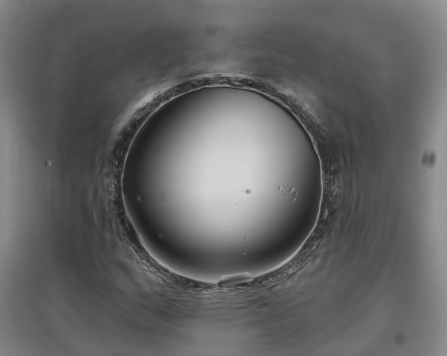 X0000096991159200802151346