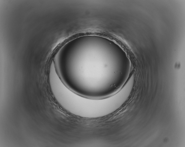X0000096991160200802151346
