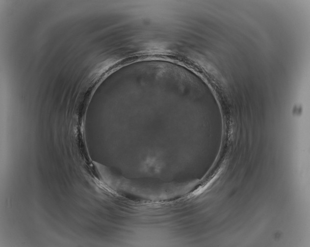 X0000096991161200802151346