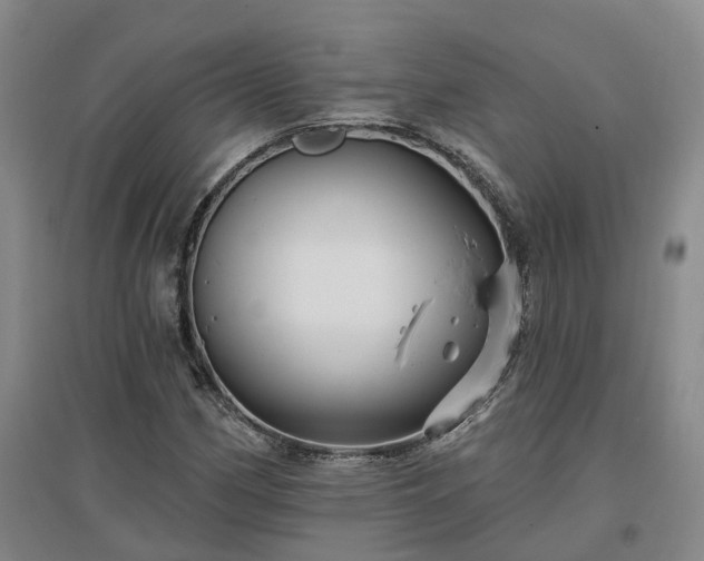 X0000096991162200802151346