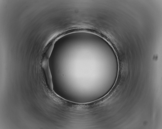 X0000096991163200802151346
