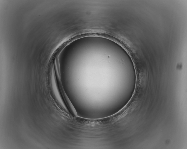 X0000096991165200802151346