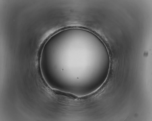 X0000096991167200802151346