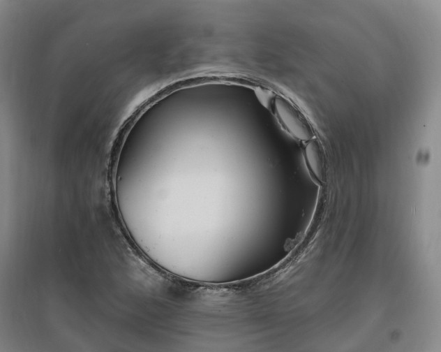 X0000096991168200802151346