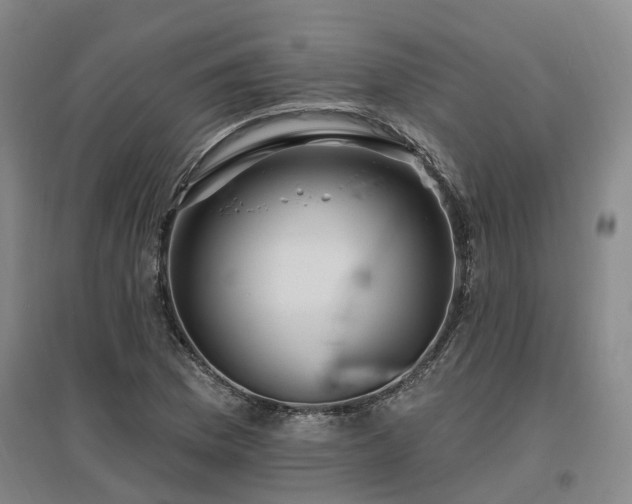 X0000096991169200802151346