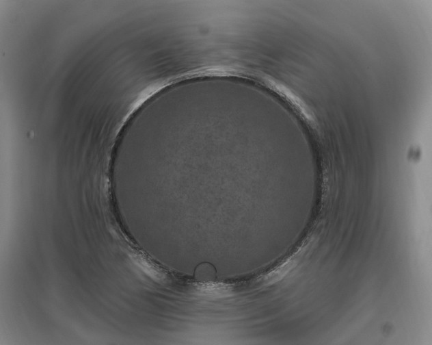 X0000096991170200802151346