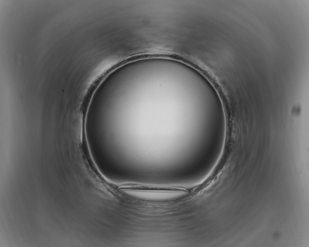 X0000096991171200802151346