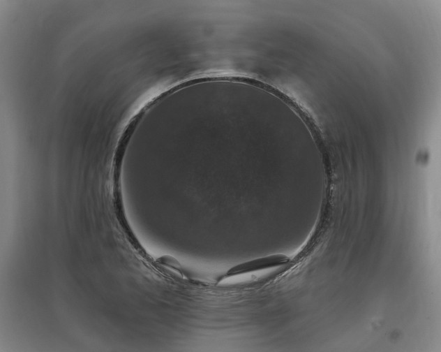 X0000096991173200802151346