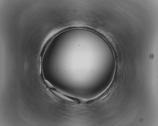 X0000096991175200802151346