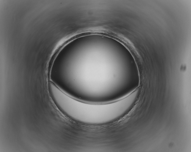 X0000096991176200802151346