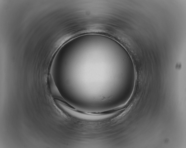 X0000096991177200802151346