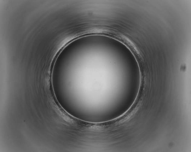 X0000096991178200802151346