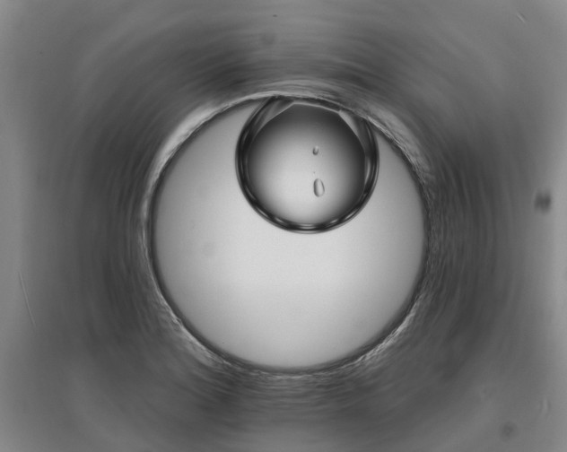 X0000096991180200802151346