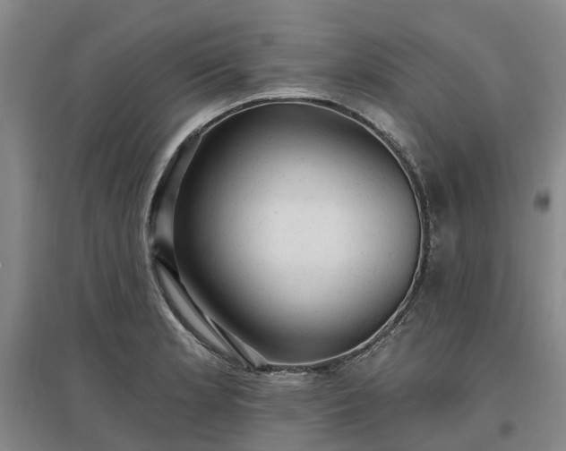X0000096991181200802151346