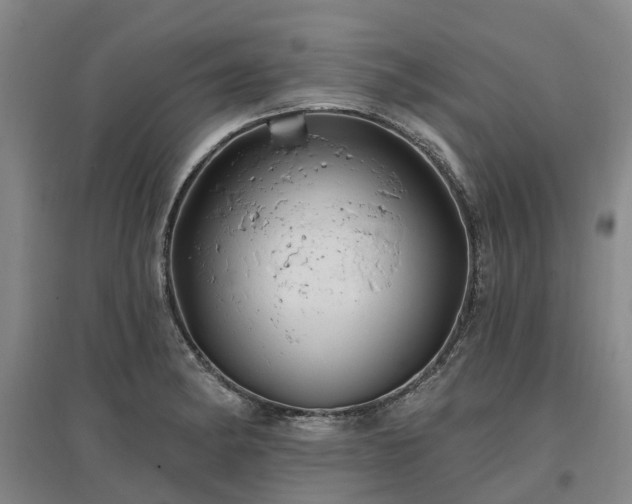 X0000096991182200802151346