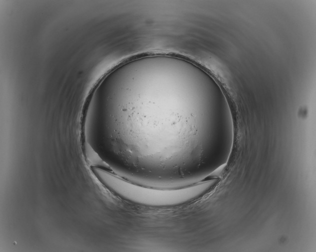 X0000096991183200802151346