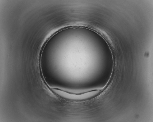 X0000096991184200802151346