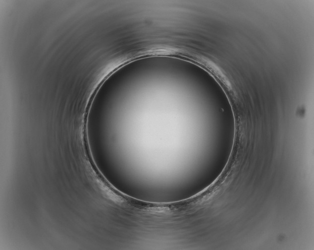 X0000096991186200802151346
