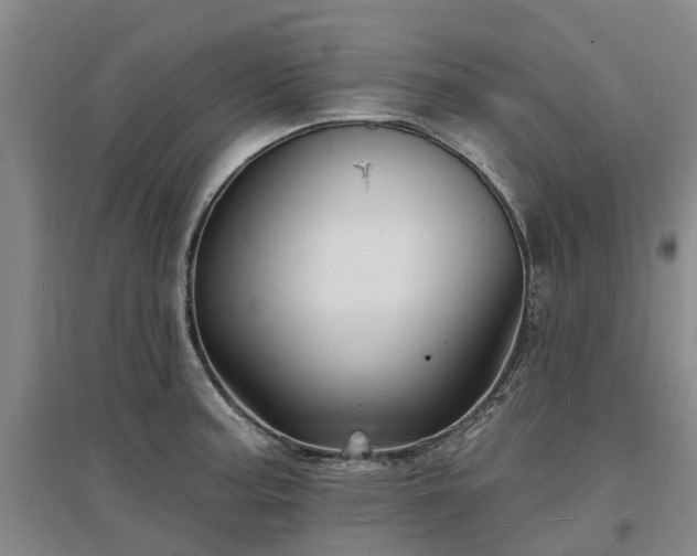 X0000096991187200802151346