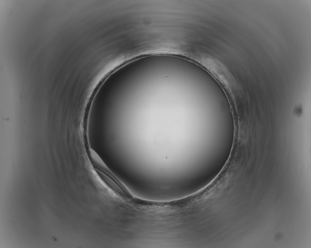 X0000096991189200802151346