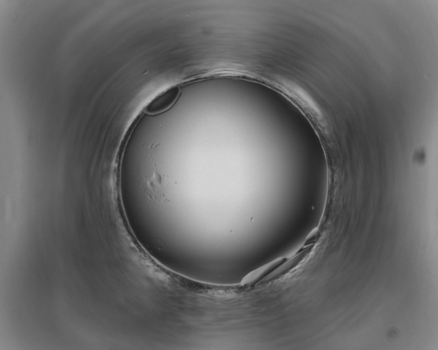 X0000096991190200802151346