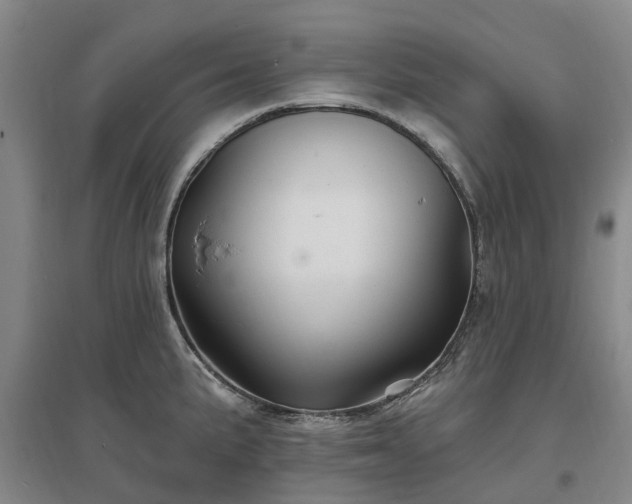 X0000096991191200802151346