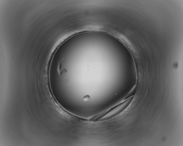 X0000096991192200802151346