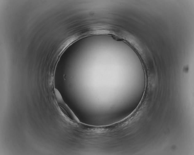 X0000096991193200802151346