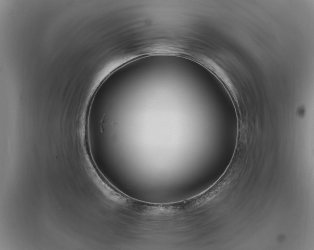 X0000096991195200802151345