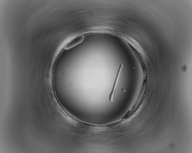 X0000096991196200802151345
