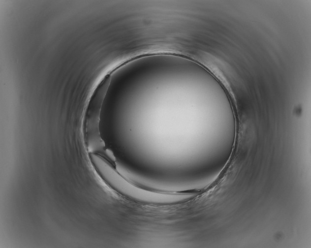 X0000096991197200802151345
