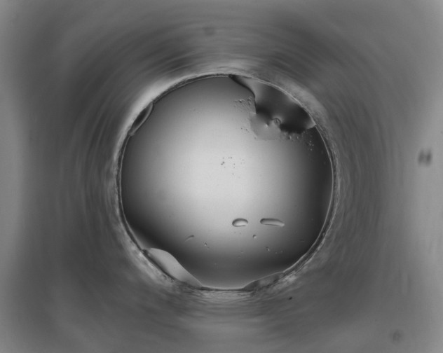 X0000096991200200802151345