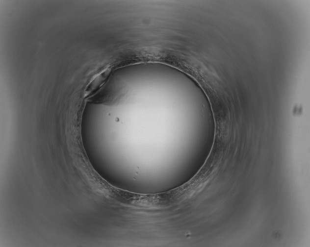 X0000096991201200802151345