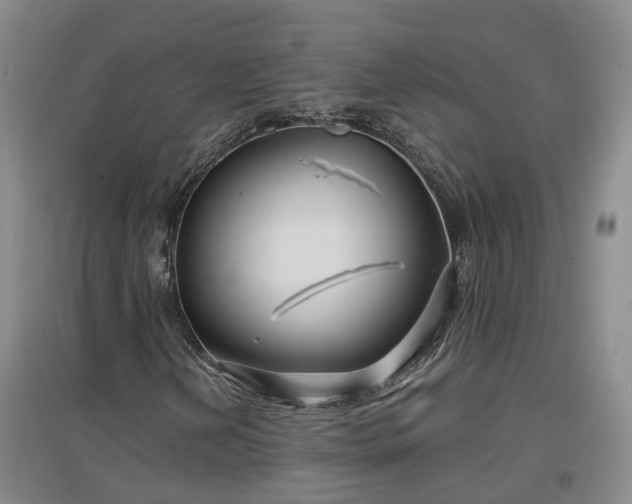 X0000096991202200802151345