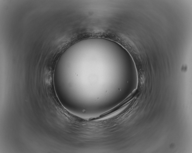 X0000096991204200802151345