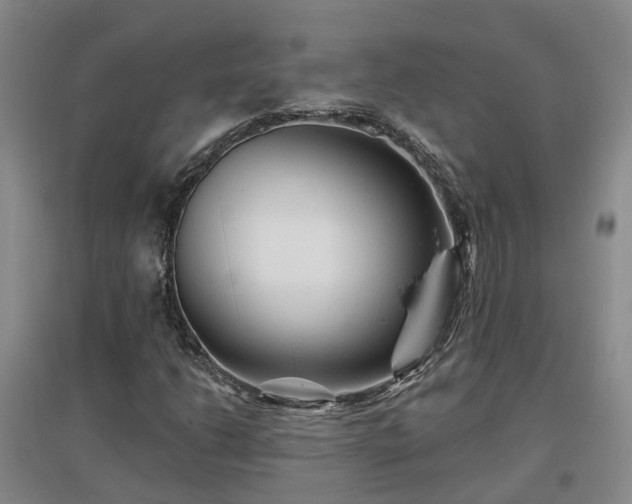 X0000096991206200802151345
